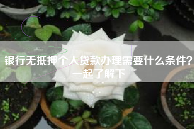 银行无抵押个人贷款办理需要什么条件？一起了解下