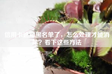 信用卡逾期黑名单了，怎么处理才能消除？看下这些方法