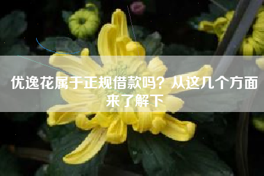 优逸花属于正规借款吗？从这几个方面来了解下