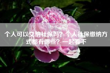 个人可以交纳社保吗？个人社保缴纳方式都有哪些？一起看下