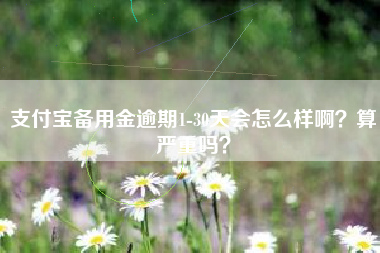 支付宝备用金逾期1-30天会怎么样啊？算严重吗？