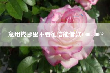 急用钱哪里不看征信能借款1000-5000?