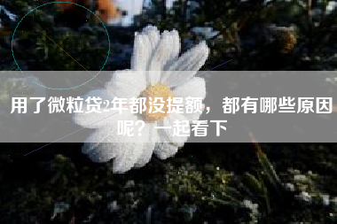 用了微粒贷2年都没提额，都有哪些原因呢？一起看下