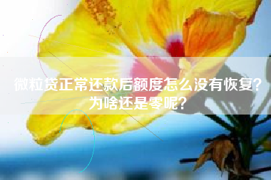 微粒贷正常还款后额度怎么没有恢复？为啥还是零呢？