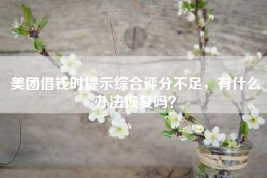 美团借钱时提示综合评分不足，有什么办法恢复吗？
