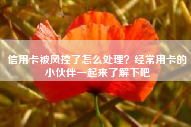 信用卡被风控了怎么处理？经常用卡的小伙伴一起来了解下吧