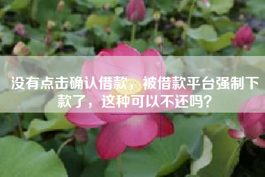 没有点击确认借款，被借款平台强制下款了，这种可以不还吗？