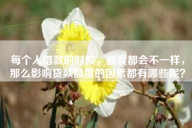 每个人借款的时候，额度都会不一样，那么影响贷款额度的因素都有哪些呢？