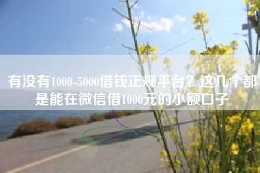 有没有1000-5000借钱正规平台？这几个都是能在微信借1000元的小额口子