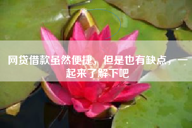 网贷借款虽然便捷，但是也有缺点，一起来了解下吧