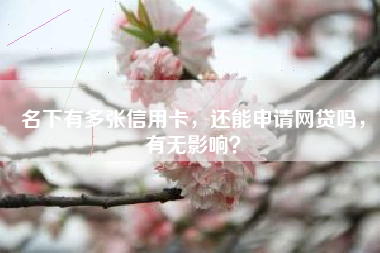 名下有多张信用卡，还能申请网贷吗，有无影响？