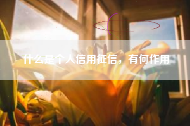 什么是个人信用征信，有何作用