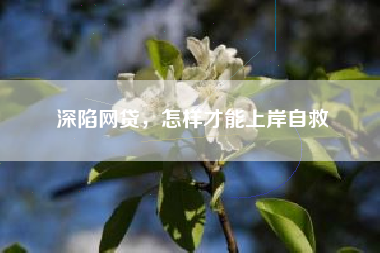 深陷网贷，怎样才能上岸自救