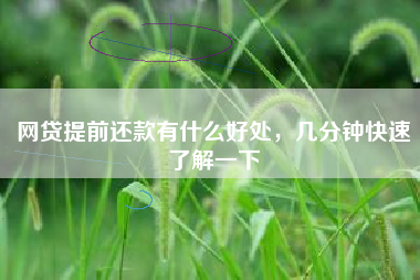 网贷提前还款有什么好处，几分钟快速了解一下