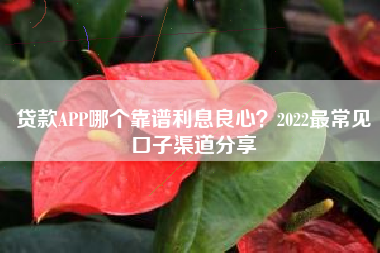 贷款APP哪个靠谱利息良心？2022最常见口子渠道分享