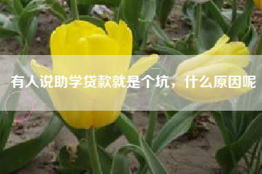 有人说助学贷款就是个坑，什么原因呢