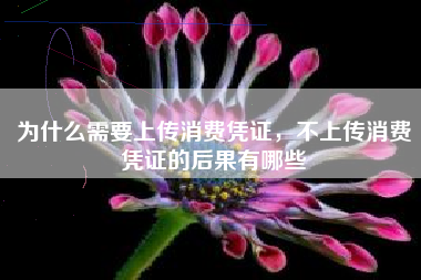 为什么需要上传消费凭证，不上传消费凭证的后果有哪些