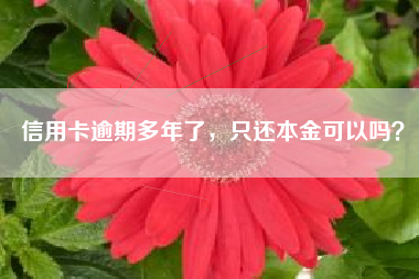 信用卡逾期多年了，只还本金可以吗？