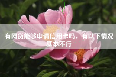 有网贷能够申请信用卡吗，有以下情况基本不行