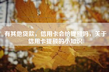 有其他贷款，信用卡会给提额吗，关于信用卡提额的小知识