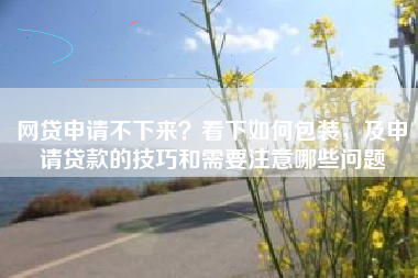 网贷申请不下来？看下如何包装，及申请贷款的技巧和需要注意哪些问题
