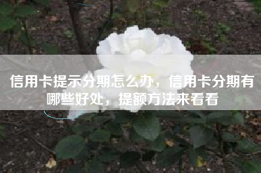 信用卡提示分期怎么办，信用卡分期有哪些好处，提额方法来看看