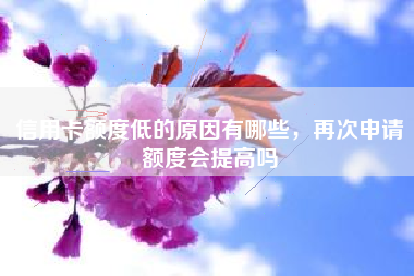 信用卡额度低的原因有哪些，再次申请额度会提高吗