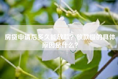 房贷申请后多久能放款？放款慢的具体原因是什么？