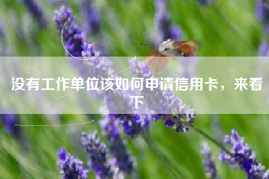 没有工作单位该如何申请信用卡，来看下