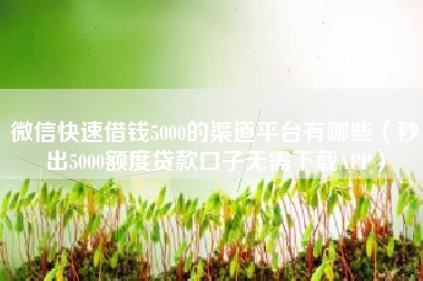 微信快速借钱5000的渠道平台有哪些（秒出5000额度贷款口子无需下载APP）