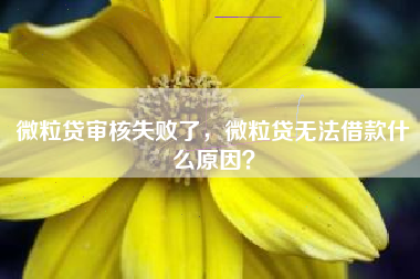 微粒贷审核失败了，微粒贷无法借款什么原因？
