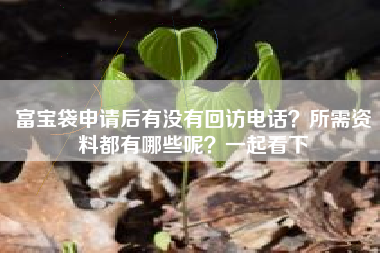 富宝袋申请后有没有回访电话？所需资料都有哪些呢？一起看下