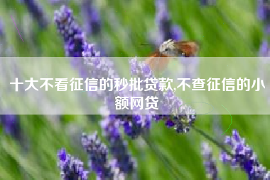 十大不看征信的秒批贷款,不查征信的小额网贷
