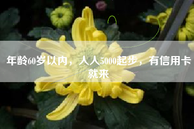 年龄60岁以内，人人5000起步，有信用卡就来