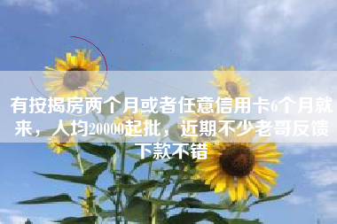 有按揭房两个月或者任意信用卡6个月就来，人均20000起批，近期不少老哥反馈下款不错