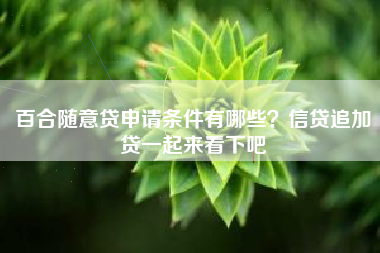 百合随意贷申请条件有哪些？信贷追加贷一起来看下吧