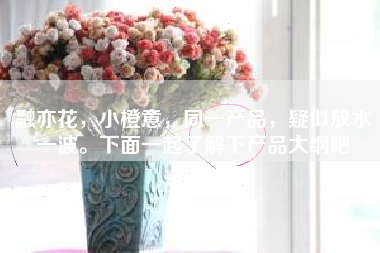 融亦花，小橙意，同一产品，疑似放水一波。下面一起了解下产品大纲吧