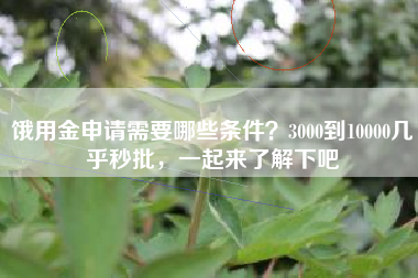 饿用金申请需要哪些条件？3000到10000几乎秒批，一起来了解下吧