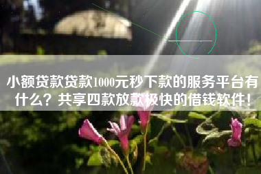小额贷款贷款1000元秒下款的服务平台有什么？共享四款放款极快的借钱软件！
