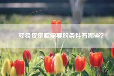 ​轻易贷贷款需要的条件有哪些？