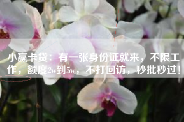 小赢卡贷：有一张身份证就来，不限工作，额度2w到5w，不打回访，秒批秒过！