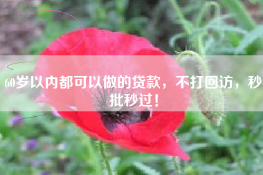 60岁以内都可以做的贷款，不打回访，秒批秒过！