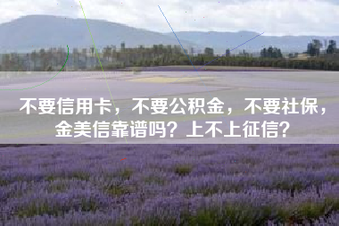 不要信用卡，不要公积金，不要社保，金美信靠谱吗？上不上征信？