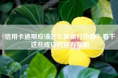 信用卡逾期应该怎么跟银行协商？看下这些或许对你有帮助