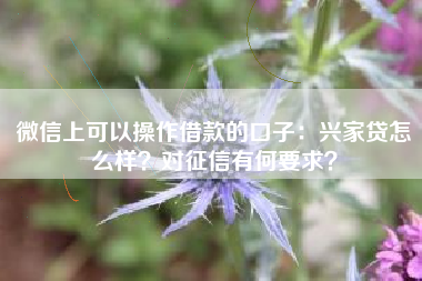 微信上可以操作借款的口子：兴家贷怎么样？对征信有何要求？