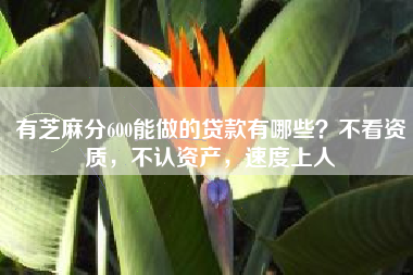 有芝麻分600能做的贷款有哪些？不看资质，不认资产，速度上人
