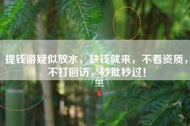 提钱游疑似放水，缺钱就来，不看资质，不打回访，秒批秒过！