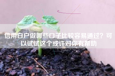 信用白户做哪些口子比较容易通过？可以试试这个或许对你有帮助