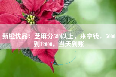 新橙优品：芝麻分580以上，来拿钱，5000到12000，当天到账