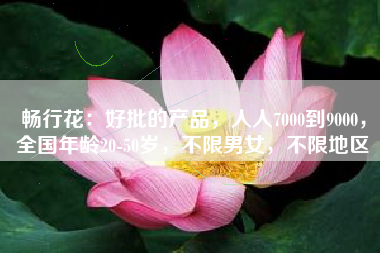 畅行花：好批的产品，人人7000到9000，全国年龄20-50岁，不限男女，不限地区